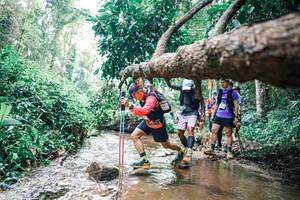 BIB: 
                            <button type="button" onclick="openModal(25373874)" class="btn btn-primary btn-sm float-right btn-popup" data-toggle="modal" data-target=".modal-high-quality">
                        <i class="fas fa-shopping-cart"></i> Add to Cart
                    </button>
                                            <button type="button" onclick="isThisMe(25373874, true)" class="btn btn-success btn-sm float-right btn-popup btn-isme hidden" data-toggle="tooltip" data-placement="bottom" title="นี่คือรูปของคุณใช่ไหม คลิกที่นี่เพื่อเอาเข้าอัลบั้ม">
                        <i class="fas fa-plus"></i> Add to album
                    </button>
                    <button type="button" onclick="isThisMe(25373874, false)" class="btn btn-warning btn-sm float-right btn-popup btn-isnotme hidden">
                        <i class="fas fa-ban"></i> Remove from album
                    </button>